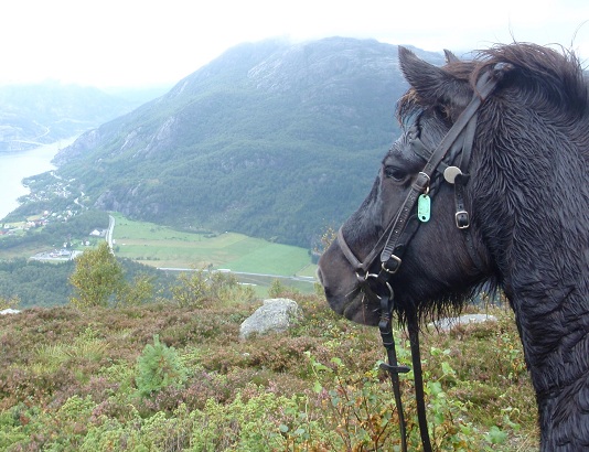 &THORN;yrla
              fra Fossanmoen