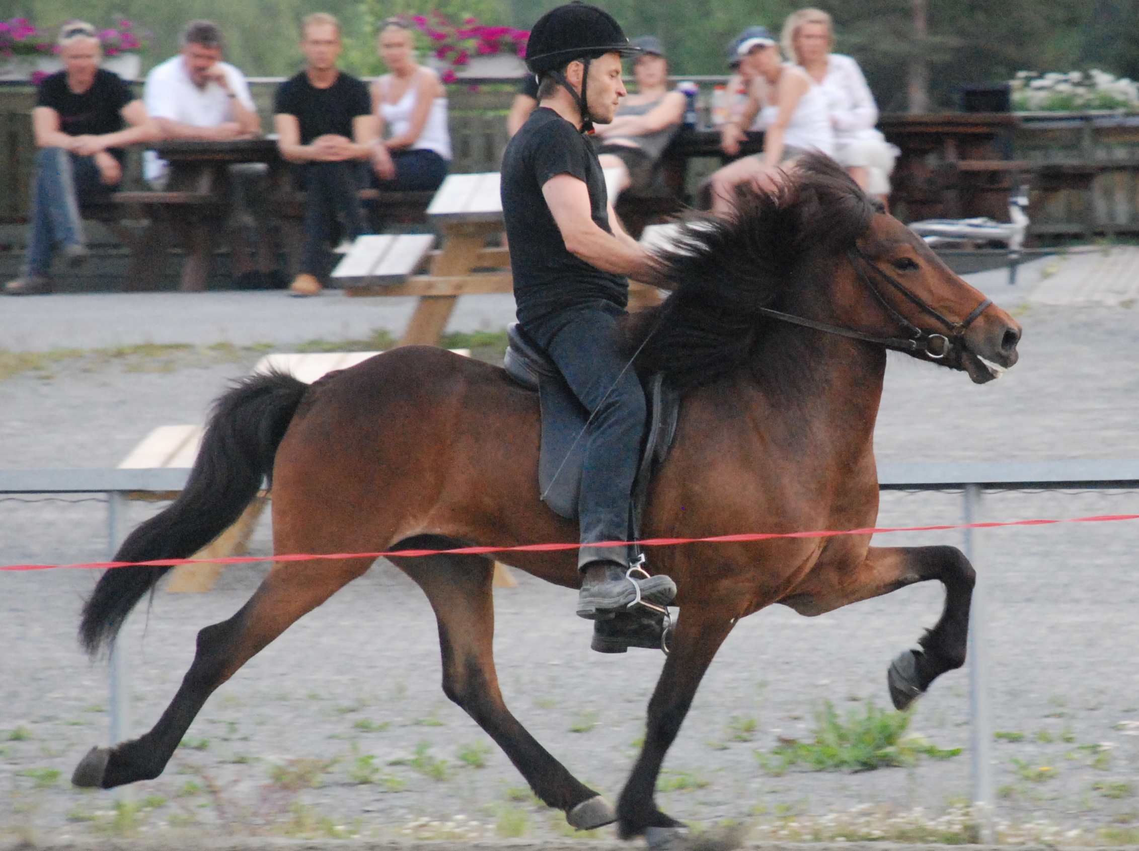 Ţúfa frá
Fossanmoen