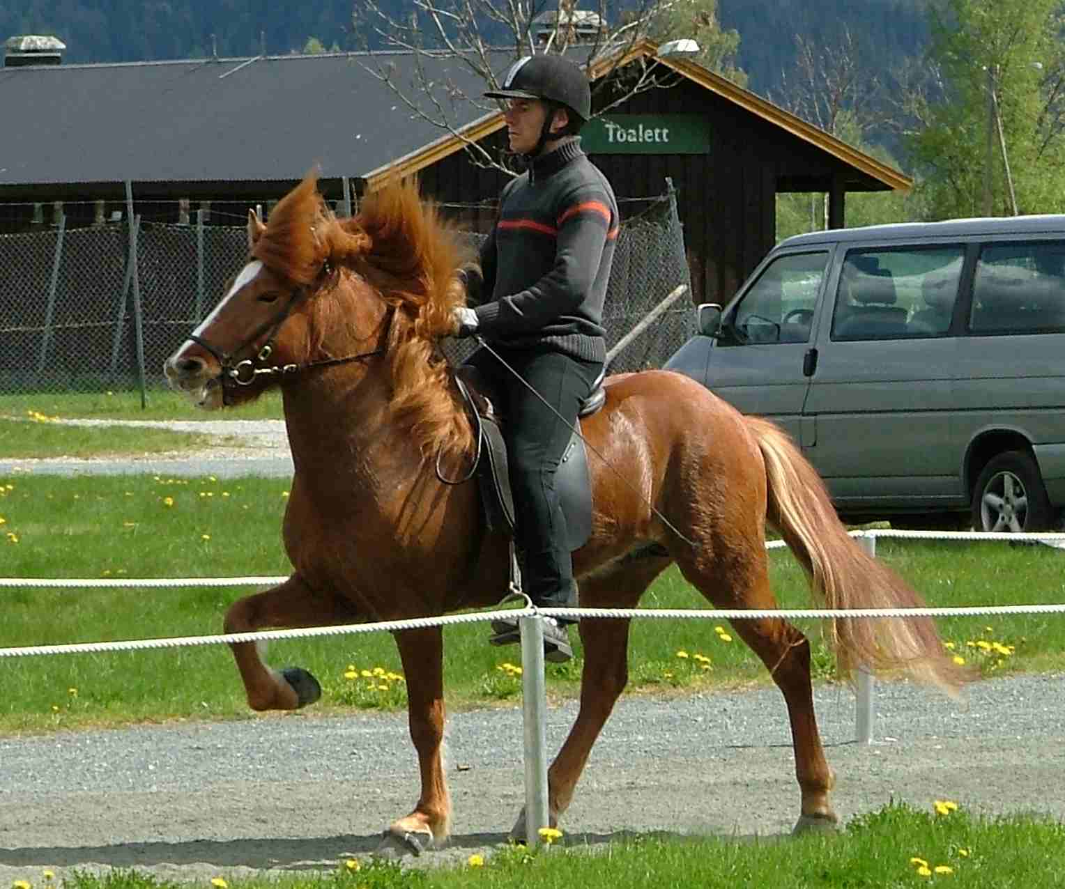 Gauti