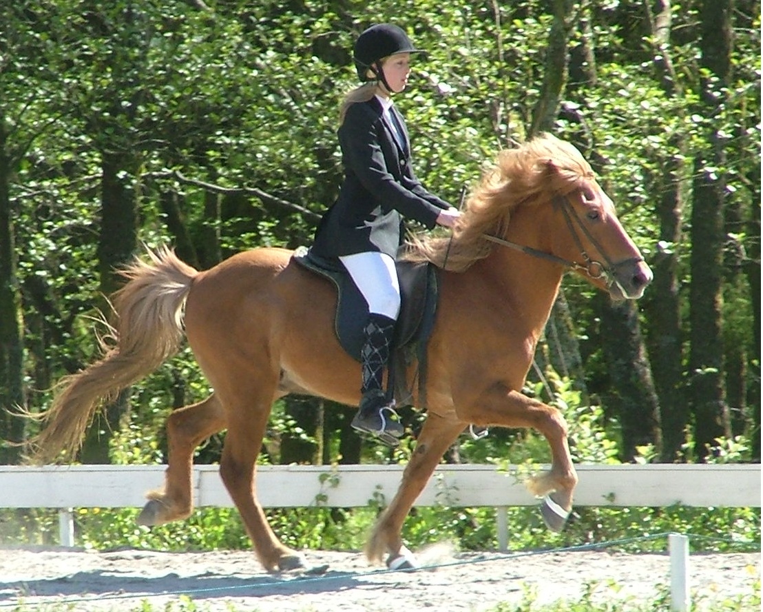Glofaxi fra
              Fossanmoen