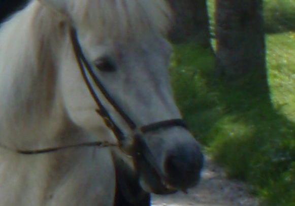 Hela fra
              Forsand