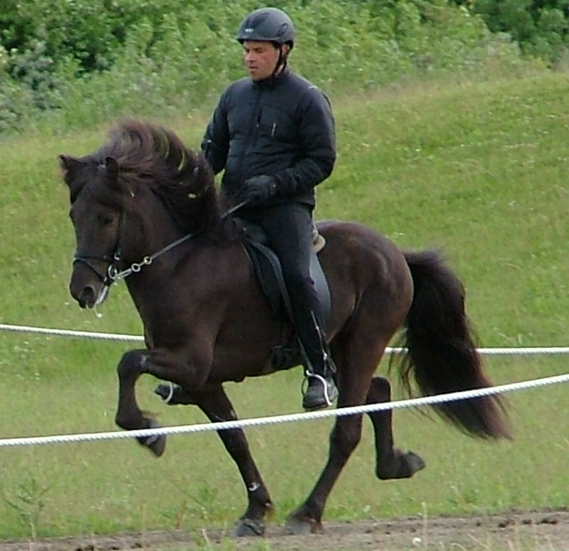 Merkur fra
                              Fossanmoen